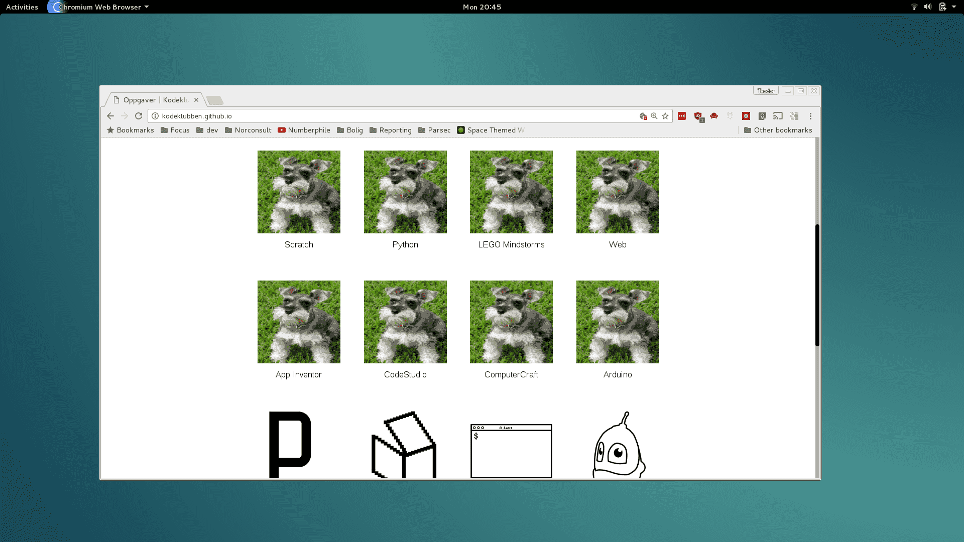 Bilde av at alle ikonene til kodeklubbens kurs er erstattet av hunderasen schnauzer